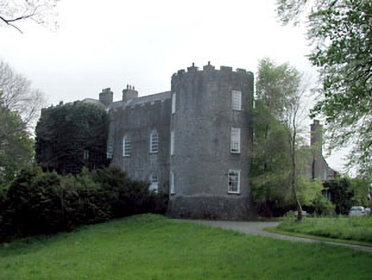 Foto perwakilan Leixlip Castle, Leixlip, pada rekaman NIAH 11804045.