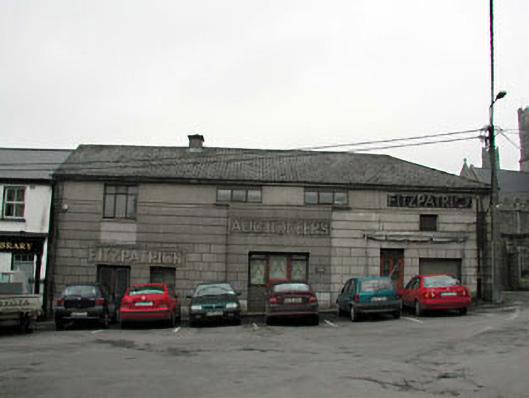 Foto perwakilan Fitzpatrick, Kildare, pada rekaman NIAH 11817014.