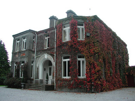 Foto perwakilan Dew Park, Tullamore, pada rekaman NIAH 14807123.