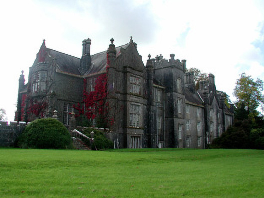 Foto perwakilan Durrow Abbey, DURROW DEMESNE, pada rekaman NIAH 14909010.