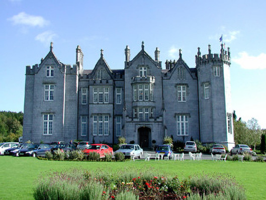 Foto perwakilan Kinnitty Castle, CASTLETOWN AND GLINSK, pada rekaman NIAH 14936011.