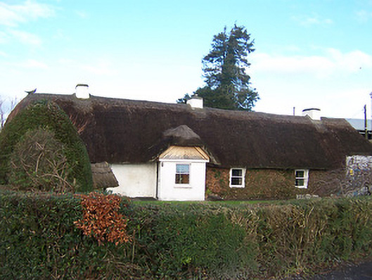 Foto perwakilan house, JOANSTOWN · NIAH 15400616, Rathowen, pada rekaman NIAH 15400616.