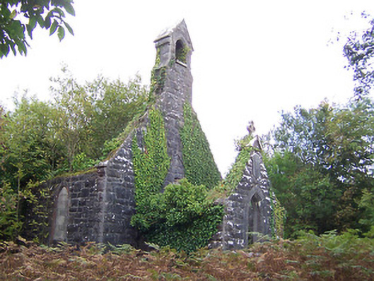 Foto perwakilan Moydrum Castle, Bealin, pada rekaman NIAH 15402916.