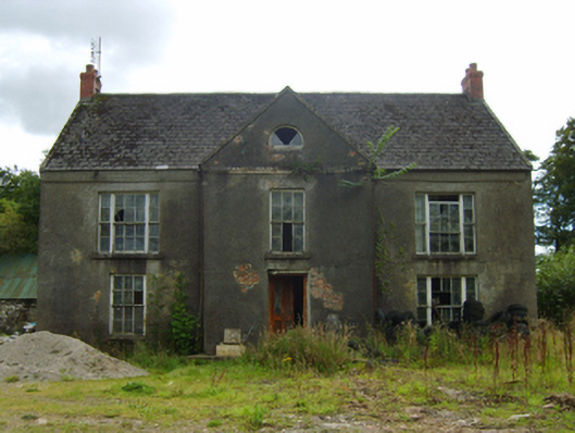 Foto perwakilan Neville's Court, Ballycanew, pada rekaman NIAH 15610006.