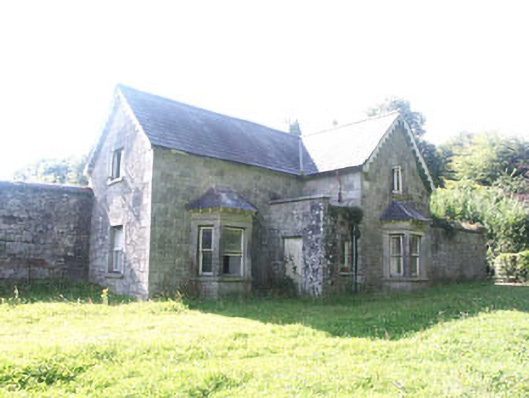 Foto perwakilan Humewood Castle, Kiltegan, pada rekaman NIAH 16402705.