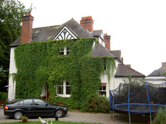 Foto perwakilan Innisfallen, Fermoy, pada rekaman NIAH 20820004.
