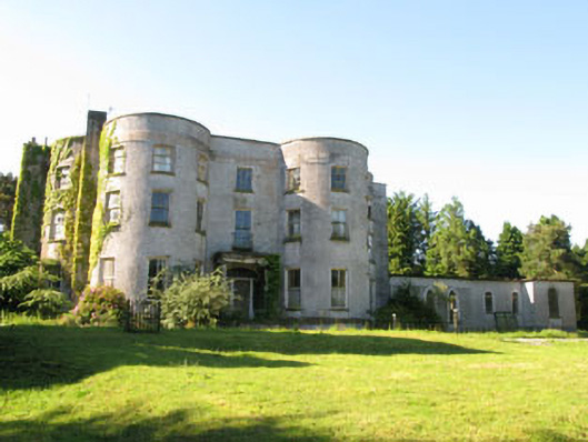 Foto perwakilan Old Court, Rochestown, pada rekaman NIAH 20987003.