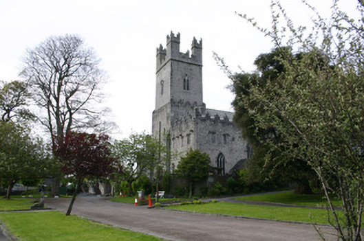 Foto perwakilan Saint Mary's Cathedral, Limerick, pada rekaman NIAH 21508014.