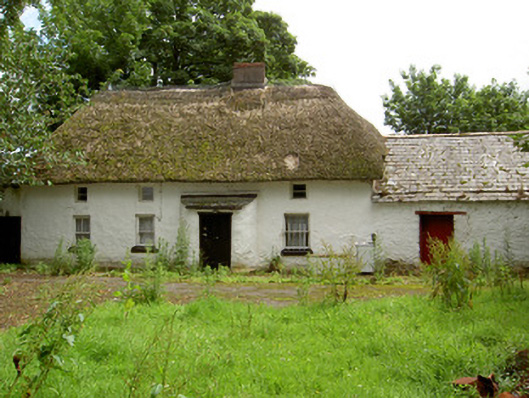 Foto perwakilan Fida Clava, BALLYLYNCH, pada rekaman NIAH 22208506.