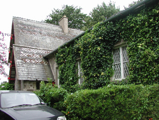 Foto perwakilan house, BALLYCAHANE · NIAH 22900808, BALLYCAHANE, pada rekaman NIAH 22900808.