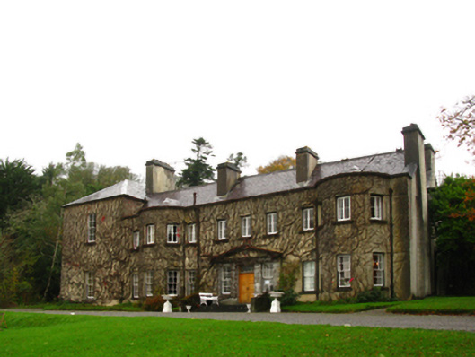 Foto perwakilan Newport House, Newport, pada rekaman NIAH 31208007.