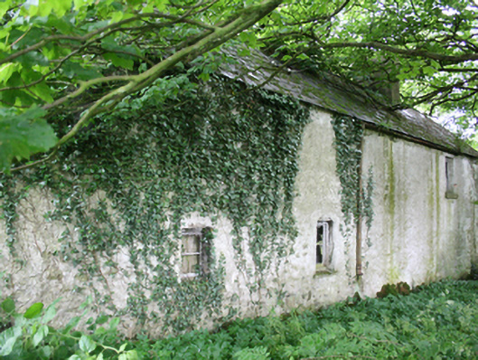 Foto perwakilan farm house, BALLAGHDORRAGH · NIAH 40404311, Virginia, pada rekaman NIAH 40404311.